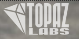 Topaz Labs Logo