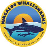 ningaloo whale sharks