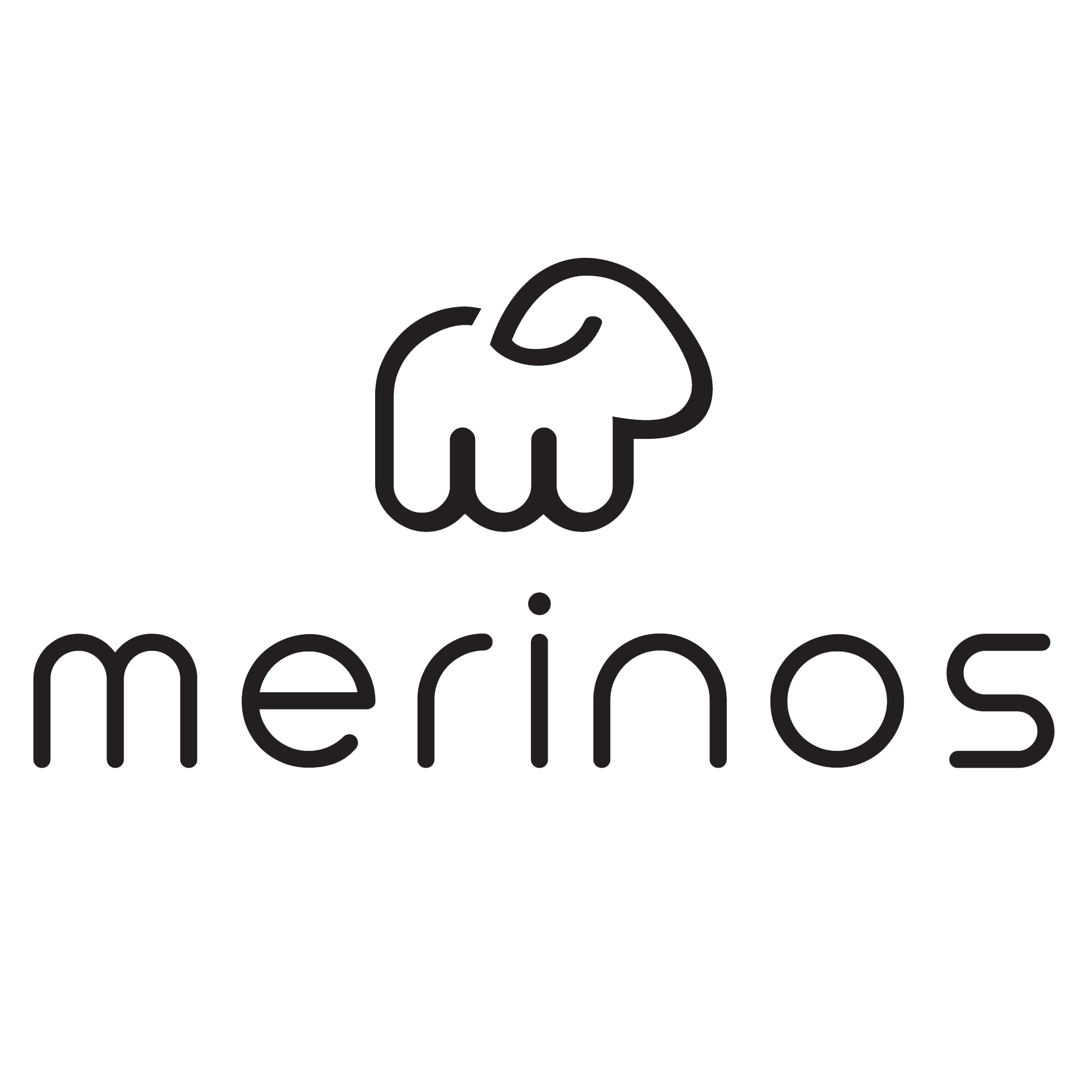 Merino Shoes
