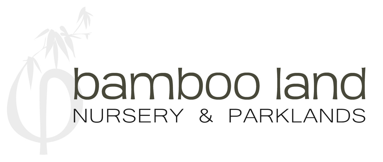 Bamboo Land