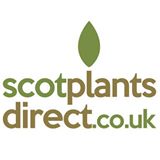 ScotPlants Direct